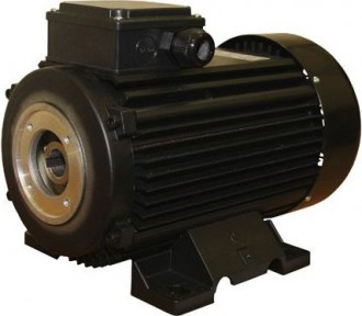 Электродвигатель EME T 112 CE 2 (G5279578I41E0)
